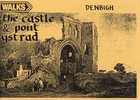 Book cover for The Castle & Pont Ystrad (Walks Series)